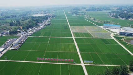 四川省現代種業發展集團揭牌成立
