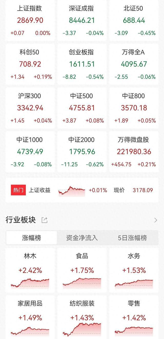 A股收評(píng) 三大指數(shù)持續(xù)調(diào)整，種業(yè)與維生素逆勢(shì)爆發(fā)，2700余股下跌成交縮量